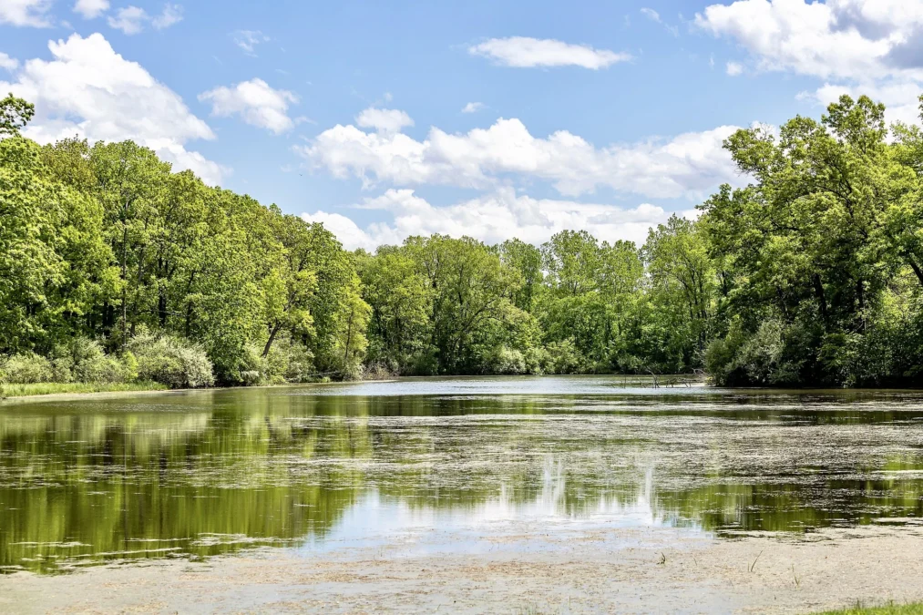 Bald Mountain State Recreation Area (Michigan)