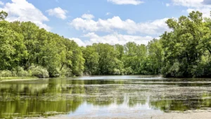 Bald Mountain State Recreation Area