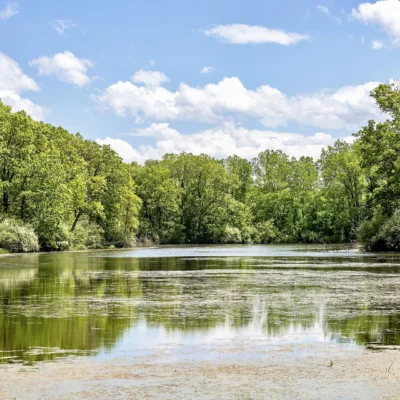 Bald Mountain State Recreation Area