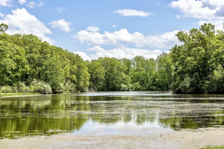 Bald Mountain State Recreation Area