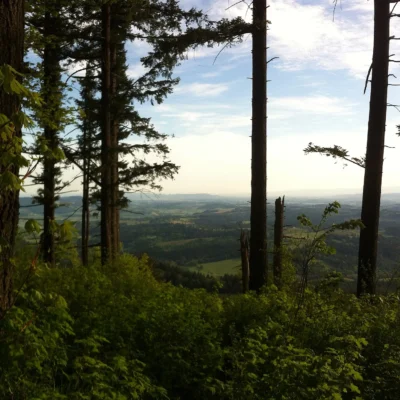Bald Peak State Scenic Viewpoint