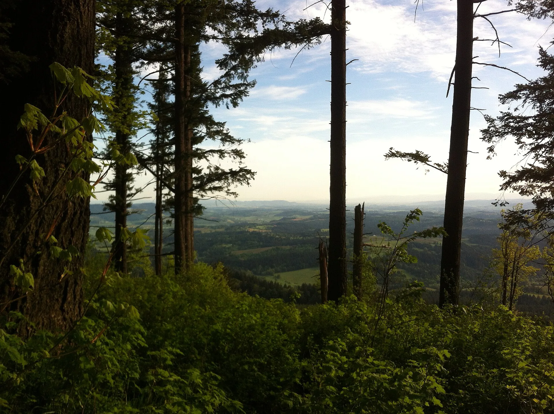 Bald Peak State Scenic Viewpoint