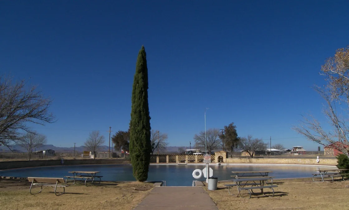 Balmorhea State Park 3 Spring-fed San Solomon pool with a tall cypress and picnic tables, Balmorhea State Park, Texas