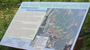 Barn Island Wildlife Management Area