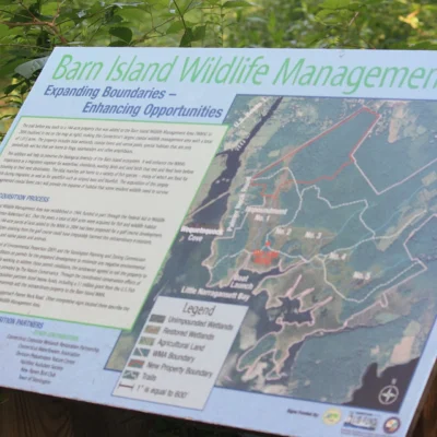 Barn Island Wildlife Management Area