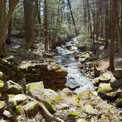 Bartlett Brook Wildlife Management Area