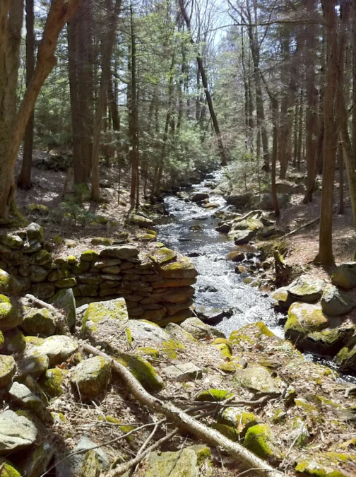 Bartlett Brook Wildlife Management Area (Connecticut)