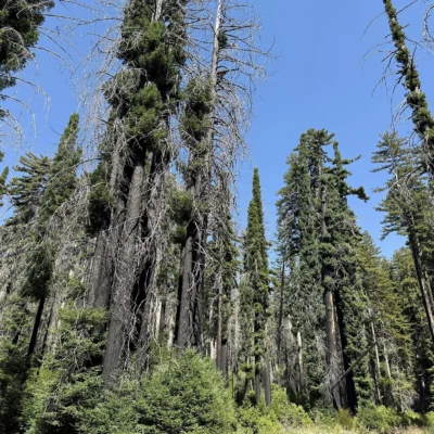 Basin Trail State Park
