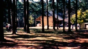 Battle of Alamance