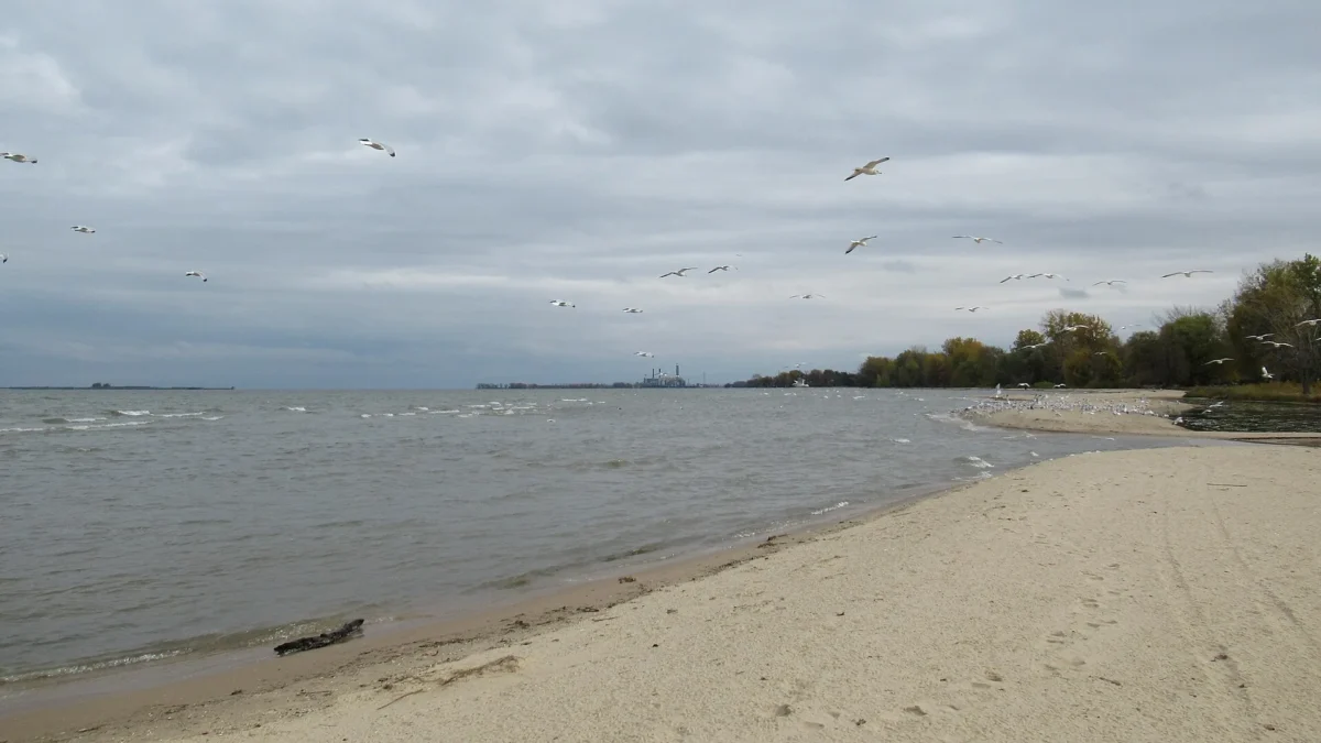 Bay City State Park 3 Beach at Bay City State Park, Michigan