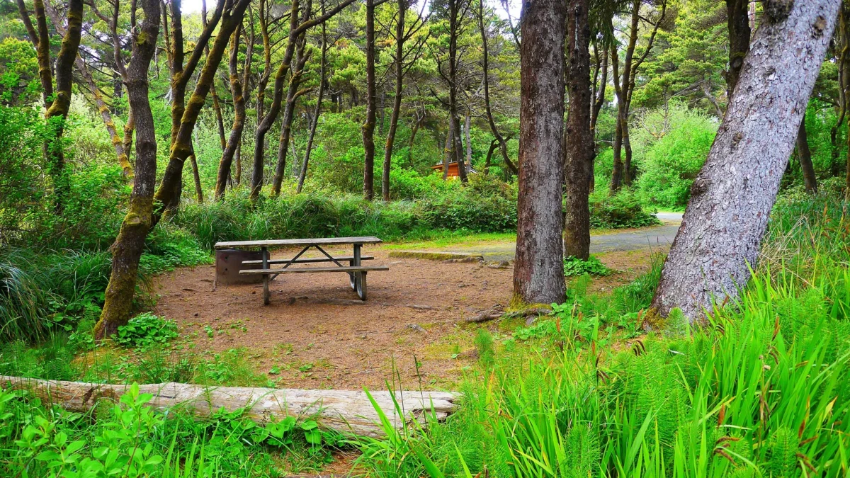 Beachside State Recreation Site (Oregon)