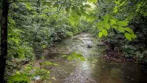 Beaman Park State Natural Area