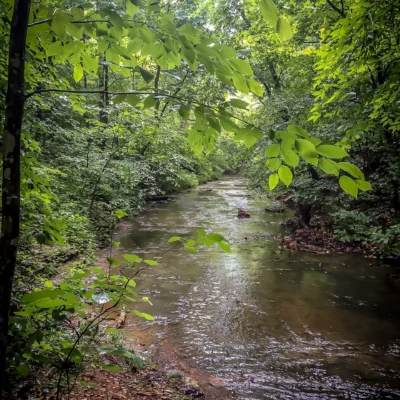 Beaman Park State Natural Area
