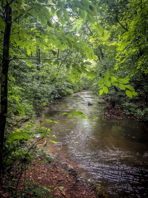Beaman Park State Natural Area (Tennessee)