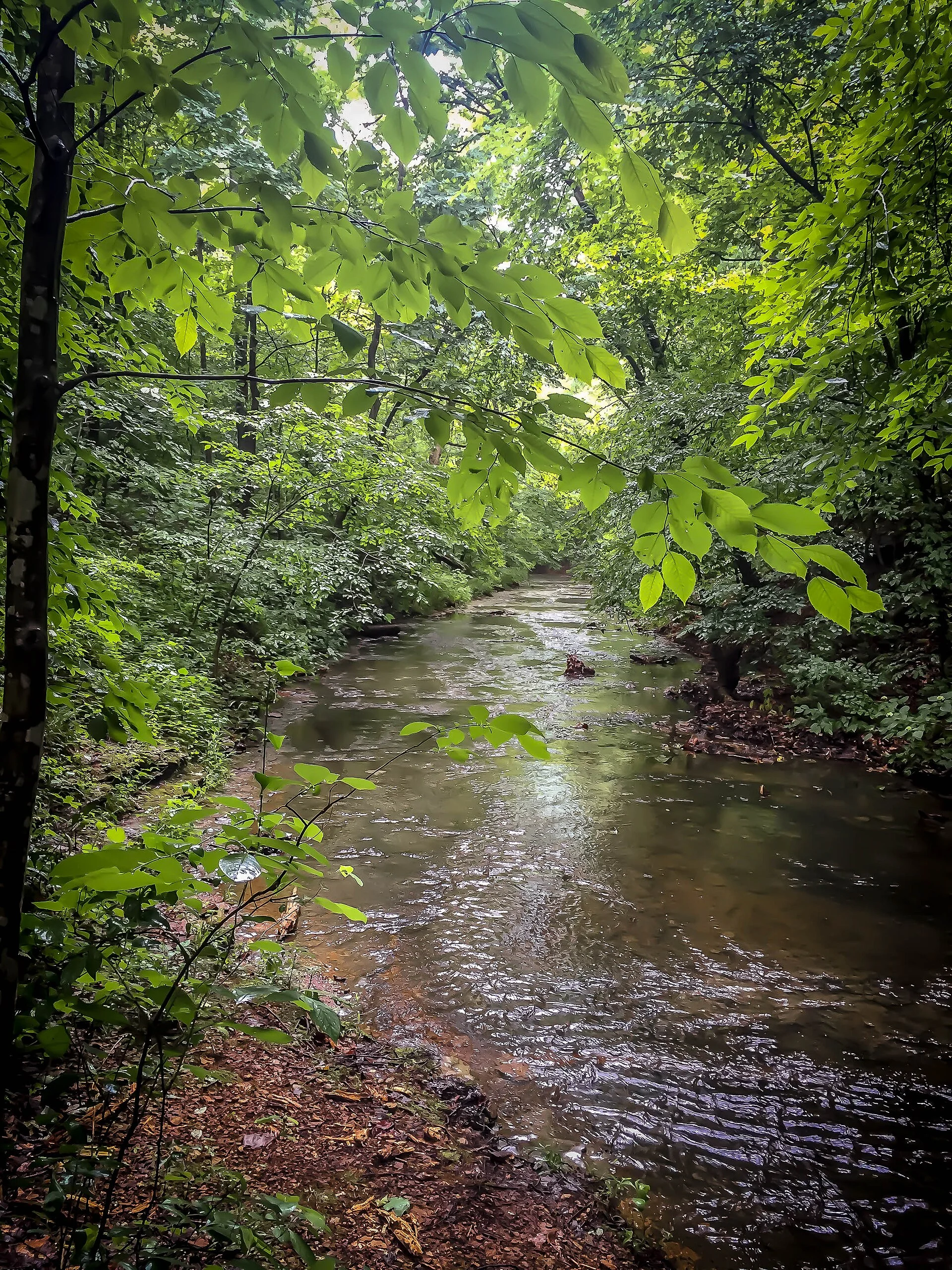 Beaman Park State Natural Area