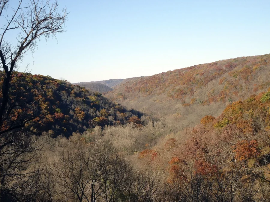 Forested valley at Beaver Creek Valley State Park, Minnesota