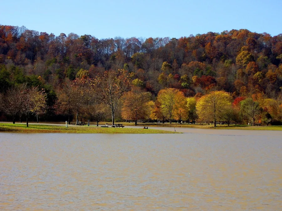 Beech Fork State Park 1 Lake shore lined with trees in bright autumn color, Beech Fork State Park, West Virginia