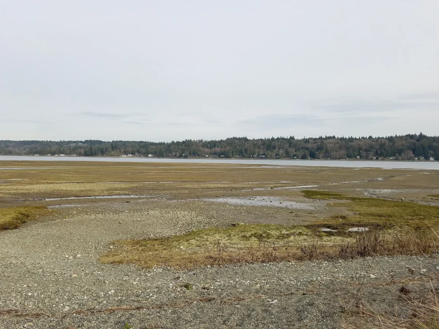 Pebble beach and tide flats on Hood Canal at Belfair State Park, Washington