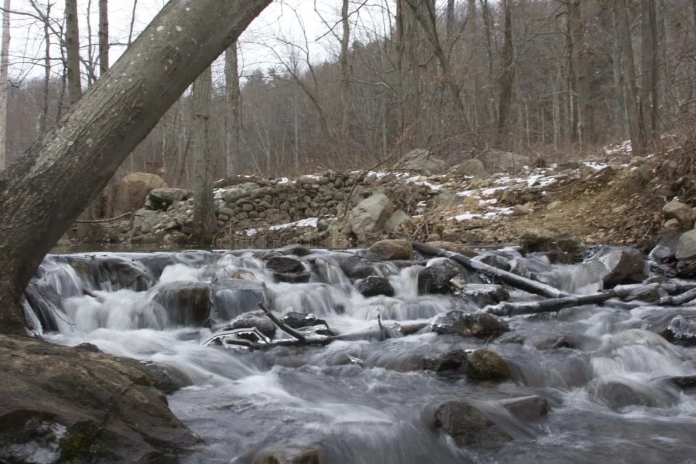 Bennetts Pond State Park (Connecticut)