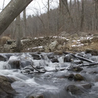 Bennetts Pond State Park