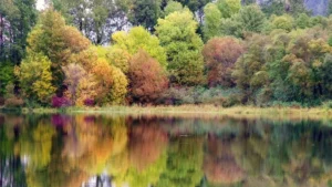 Benson State Recreation Area