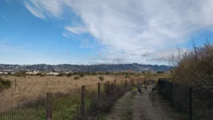Berkeley Marina