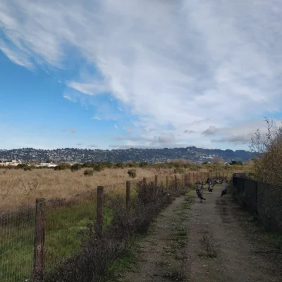 Berkeley Marina