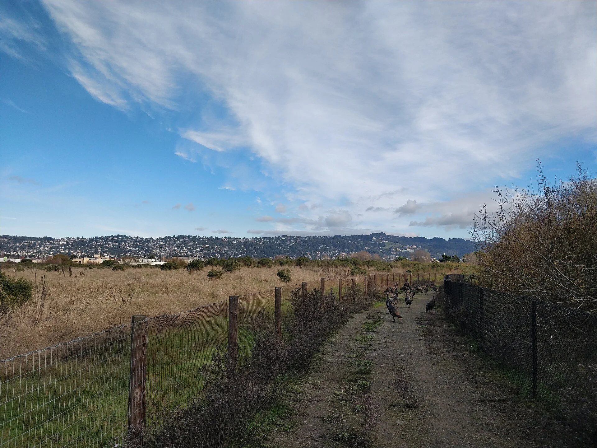 Berkeley Marina