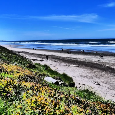 Beverly Beach State Park