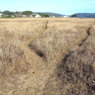 Mendocino Headlands State Park