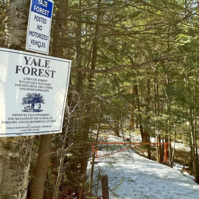 Bigelow Hollow State Park