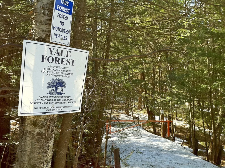 Bigelow Hollow State Park (Connecticut)