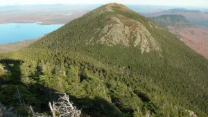 Bigelow Preserve