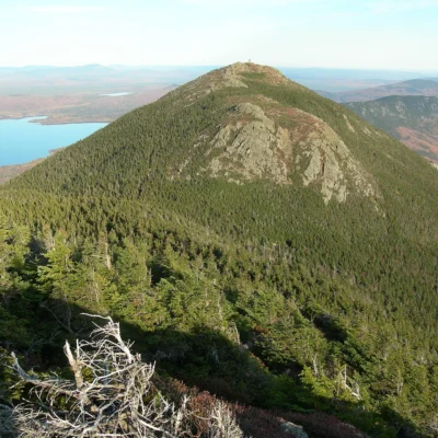 Bigelow Preserve