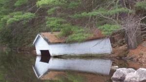 Binney Pond Natural Area