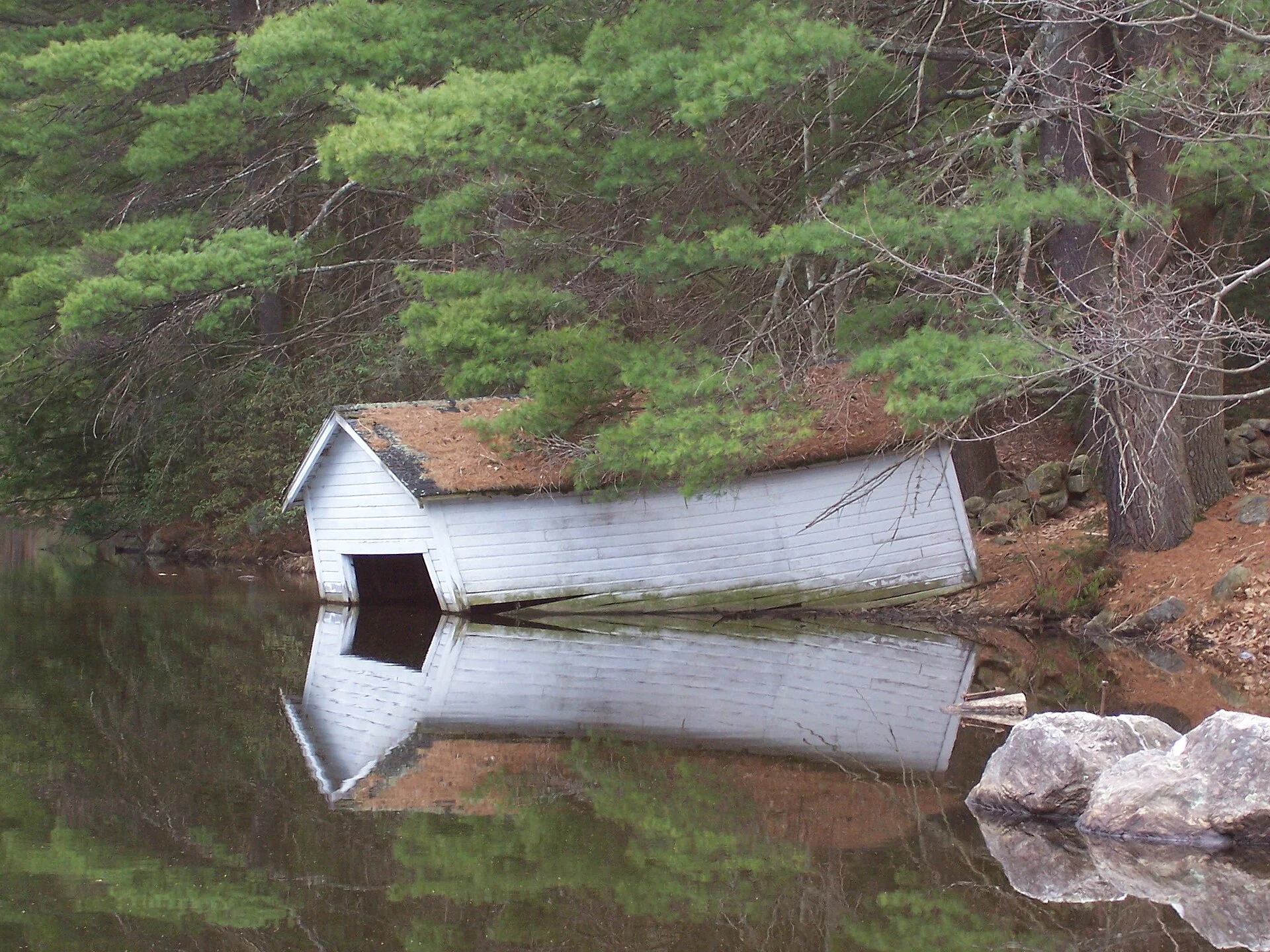 Binney Pond Natural Area