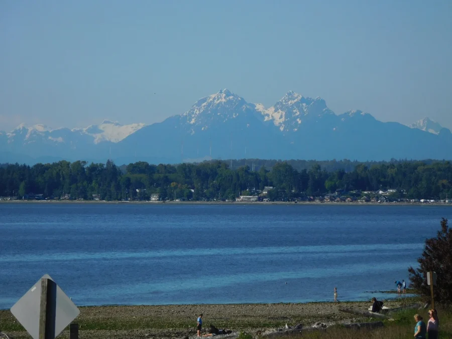 Birch Bay with a shoreline of evergreens and snow-capped peaks of the Cascades behind, Birch Bay State Park, Washington