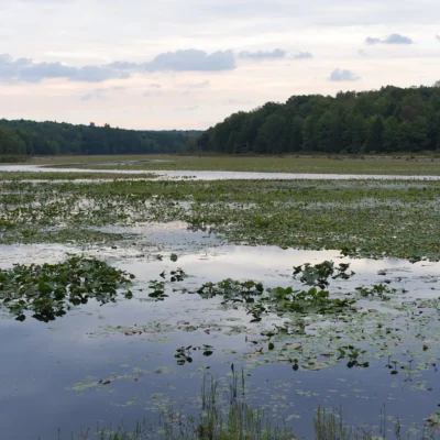 Black Moshannon State Park