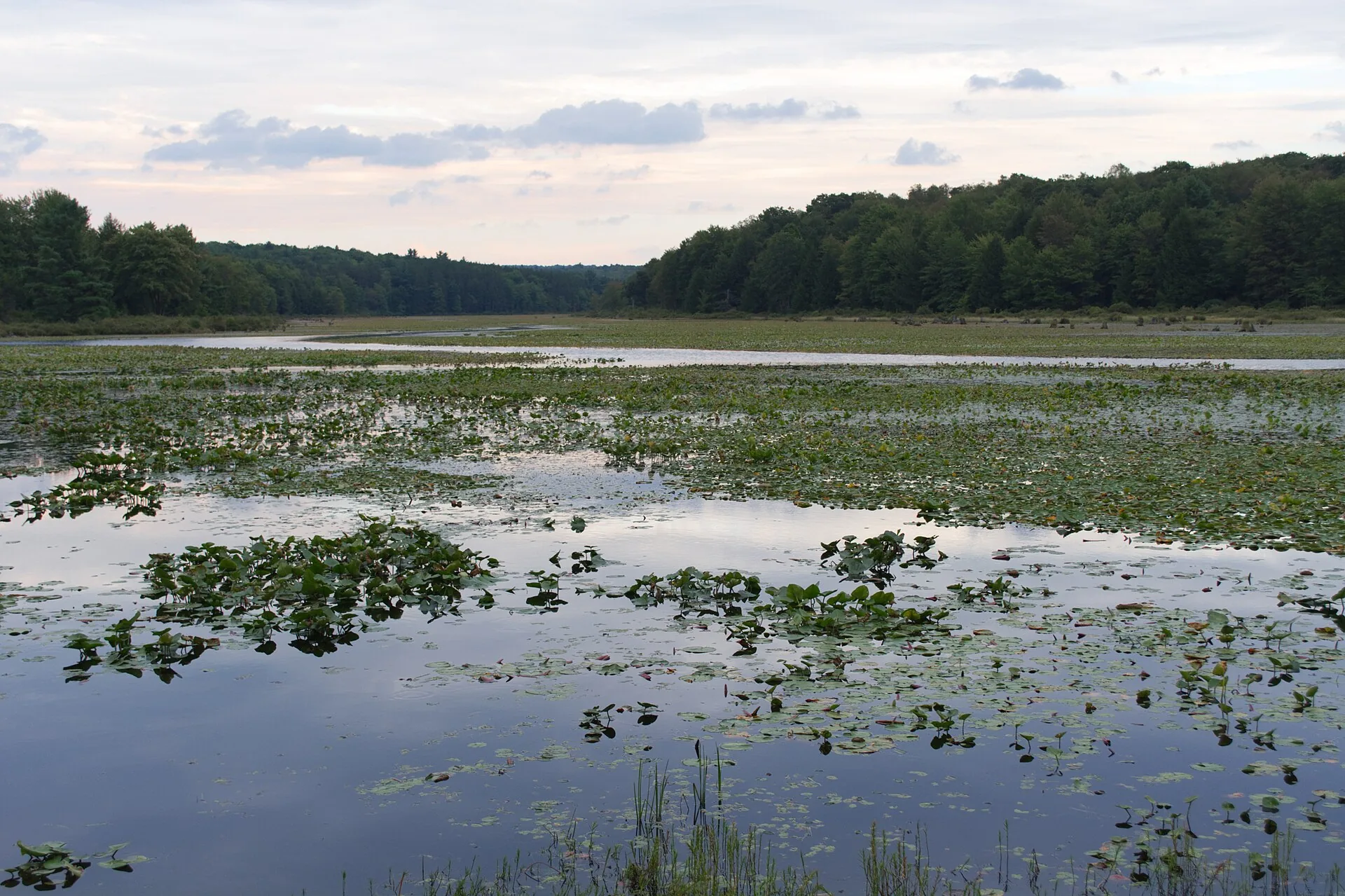Black Moshannon State Park