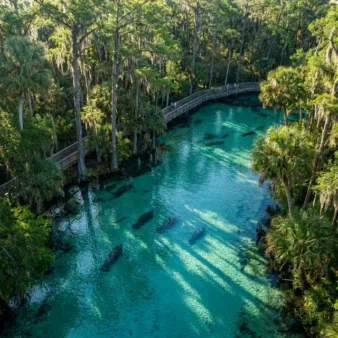 Blue Spring State Park