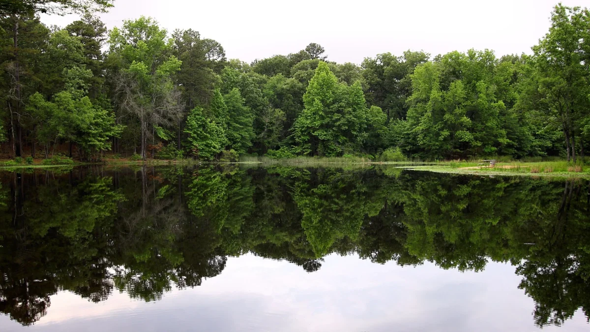 Bob Sandlin State Park 7 Bob Sandlin State Park (Texas)