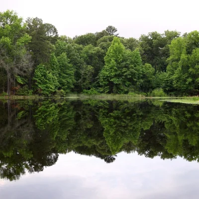 Bob Sandlin State Park