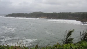 Boiler Bay State Scenic Viewpoint