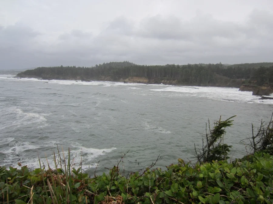 Boiler Bay State Scenic Viewpoint (Oregon)