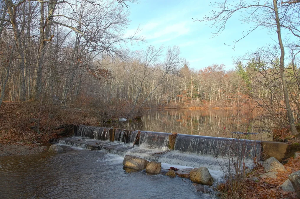 Borderland State Park (Massachusetts)