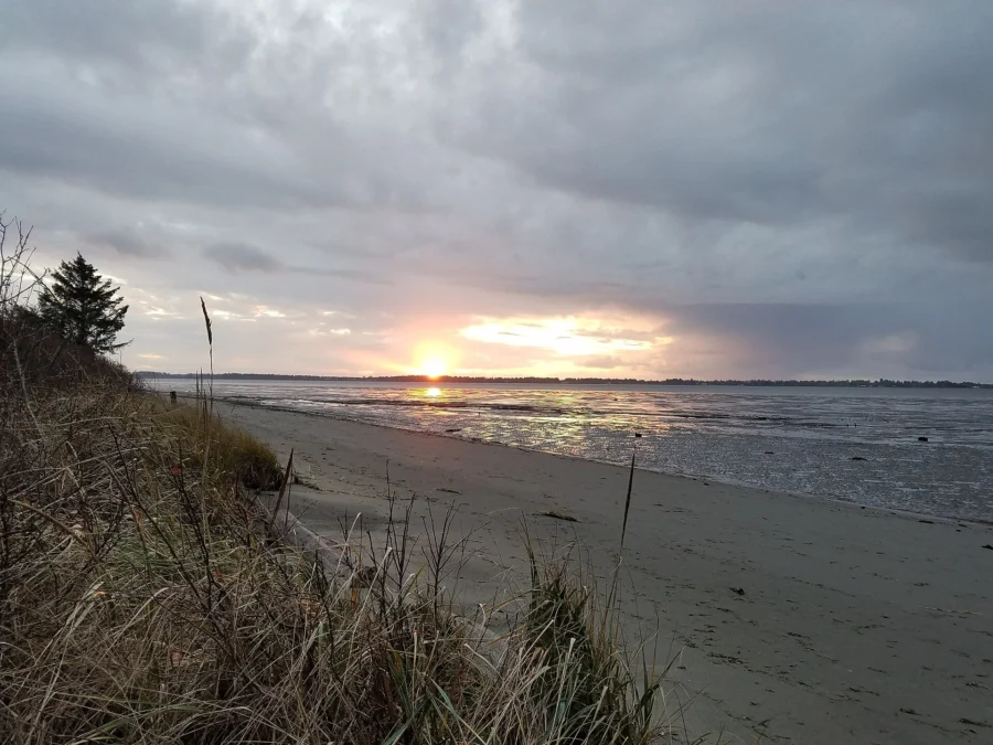 Bottle Beach State Park 12 Bottle Beach State Park (Washington)