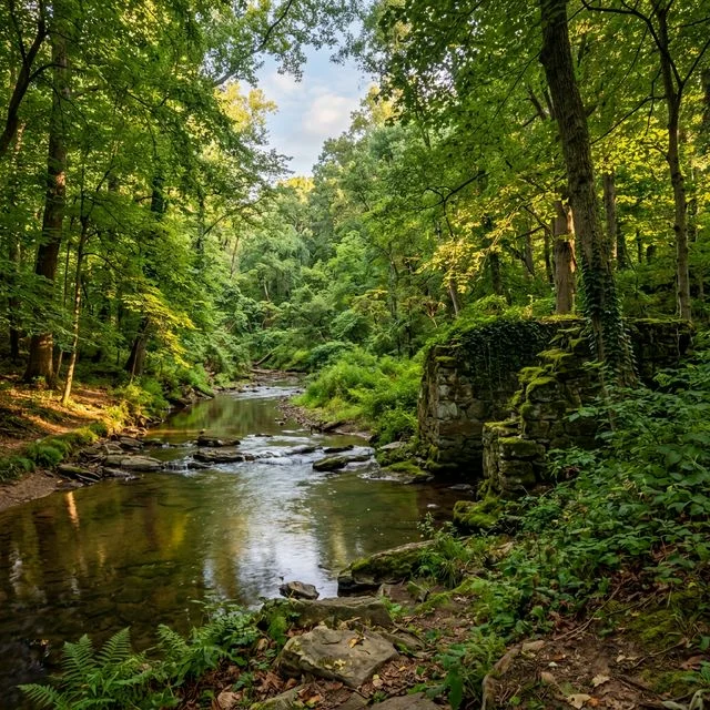 Brandywine Springs Park in Delaware with creek and historic ruins