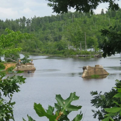 Brimfield State Forest