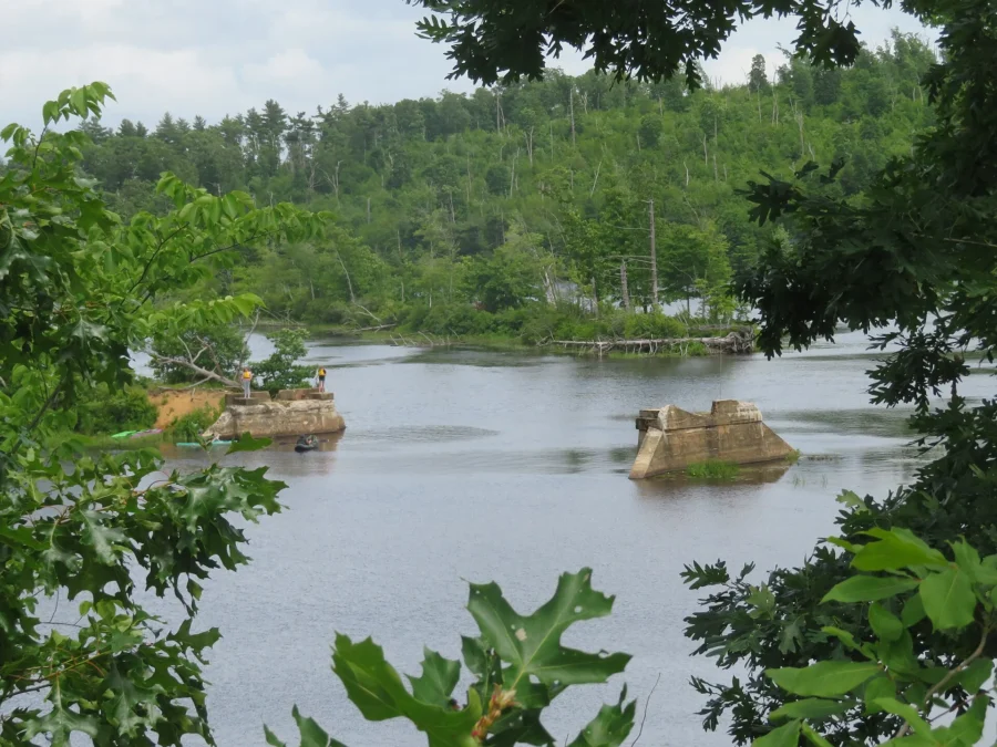 Brimfield State Forest (Massachusetts)
