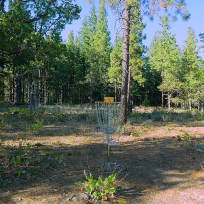 Brooks Memorial State Park
